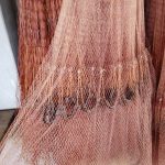 সম্পূর্ণ জাল হবে নয় হাত